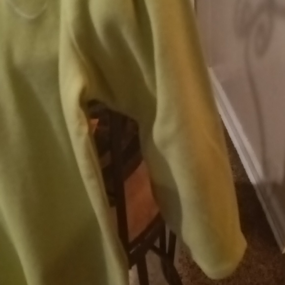 NWT Margaux & Lexi pea green blouse w country swirls & shimmers Size Medium - Picture 7 of 9